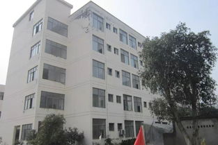 又有2家包裝廠被法院查封,連房地產都被拍賣了