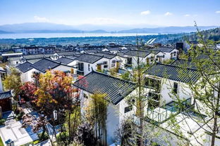 喜訊 實力集團實力 小院子度假村榮獲 2019中國房地產(chǎn)優(yōu)秀原創(chuàng)產(chǎn)品品牌 殊榮