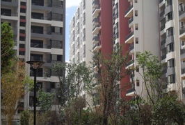 朝花曦拾1期滿意交房 2期聯邦國際中心即將面市