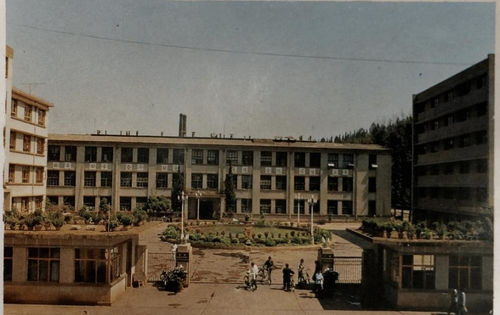 水泥封尸二十年 1963年云南女會(huì)計(jì)攜款失蹤懸案揭秘